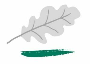 Podkreśl na zielono